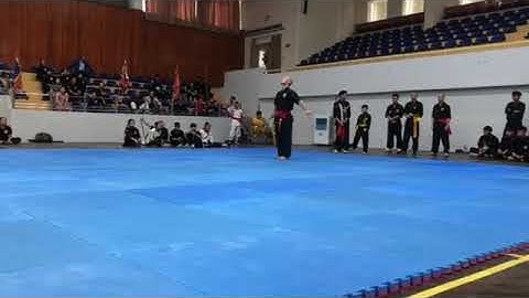 Song Đoản Côn - Trần Mạnh Cường