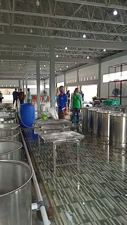 Pabrik Pembuatan Tahu dan Tempe kelompok KUB( Kerajinan Untuk Bersama)