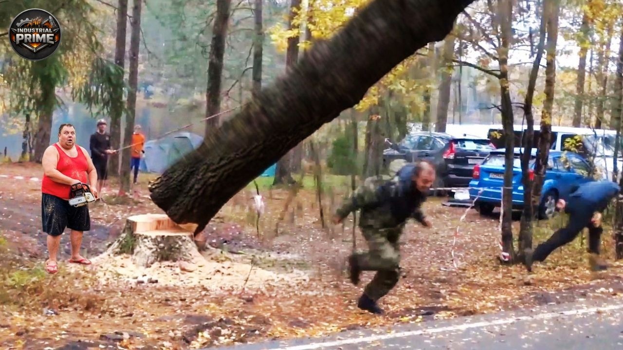 Idiots With Chainsaws: Tree Cutting Fails | Extreme Dangerous Logging ...