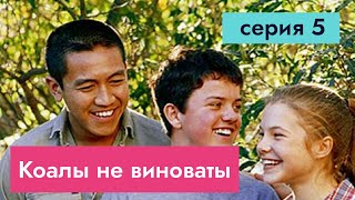 Коалы не виноваты, серия 5/26