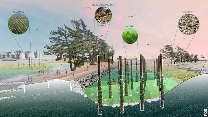 Resilient Places and People
