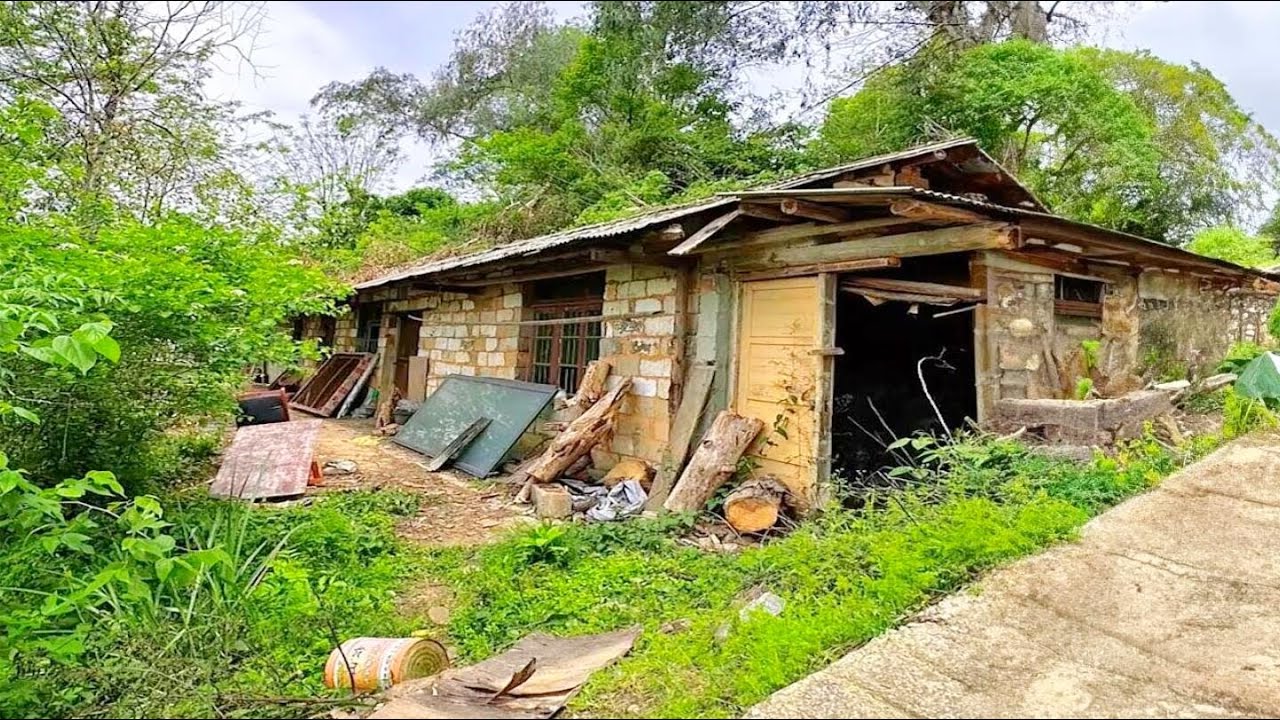 He is such a genius that he renovated an old house in the forest that had been abandoned for 20 year