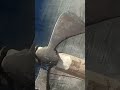 Чекан  👍💪🔥 реставрація @СкарбиМандри