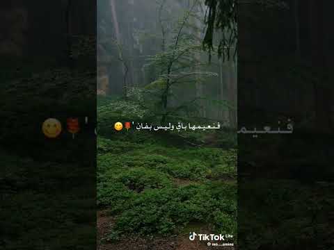 هي جنه طابت وطاب نعيمها من اجمل الاناشيد اناشيد قصايد اقنباسات معلومات مواعظ قرآن اكسبلور