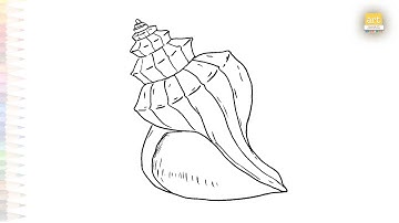 Conch sea shell drawing easy | Outline sketches | How to draw A Sea shell step by step | #artjanag
