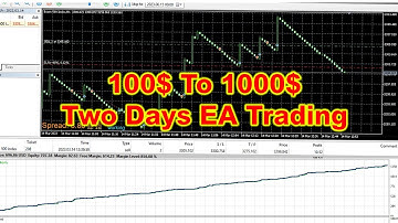 Best Forex Robot EA turn 100$ Into 1000$ In Two Days - Free Download