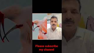 #viralvideo #socialmediamagic #animals #wildlifeentertainment #wildanimals #comedy #imagecapture