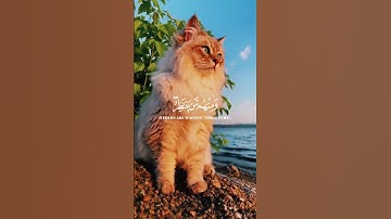 تلاوة مباركة بصوت عذب تهدأ لها القلوب وتطمئن النفوس، شارك الأجر بنشر الفيديو #قرآن #المصحف #تلاوة