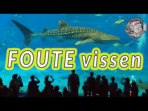 deze AQUARIUM VISSEN niet zomaar KOPEN! Welke aquarium vissen mijden? | Aquarium Sunshine Valley