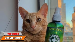 Bored Kitty No More! DIY Catnip Spray Recipe for Happy Playtime by Pet Needs 21 views 12 days ago 12 minutes, 27 seconds