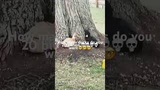 I want 20 billion ducks💀🤓💀 #relatable #relationship #comedy #jokes #youtube #whatssofunny