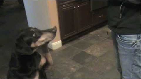 Stimulus Control of Wave