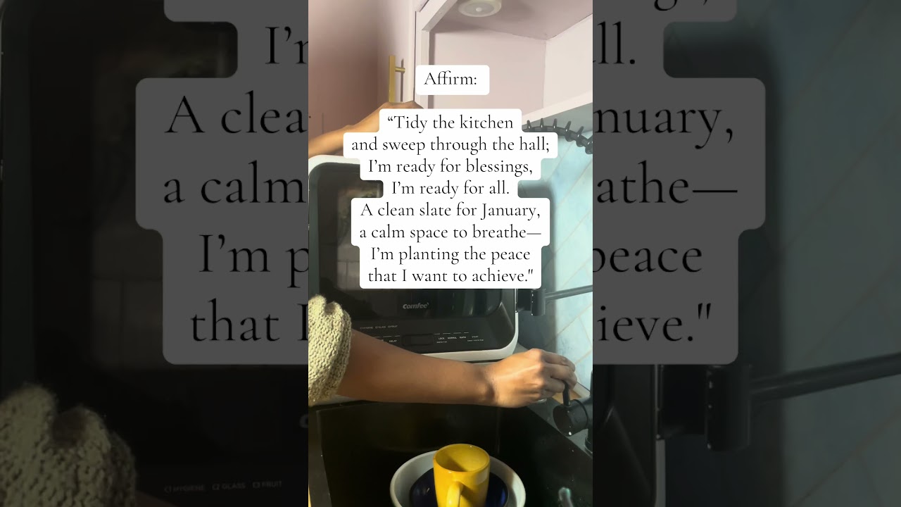 #Tidy the #kitchen with me using this mini #dishwasher #dailymotivation #organizing