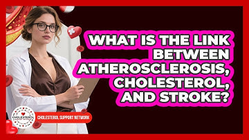 What Is The Link Between Atherosclerosis, Cholesterol, And Stroke? - Cholesterol Support Network