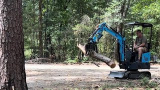 Cutting Down a 100ft Pine Tree - Mini Excavator Cleanup