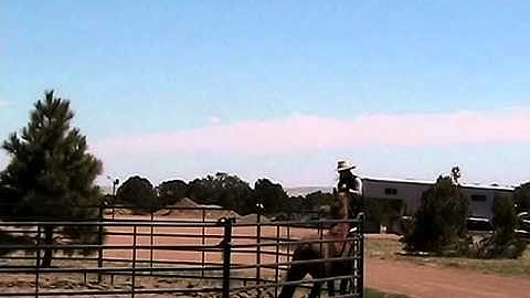 Espejo #10 -- Picking Me Up Off the Fence -- Part 1, Preparation