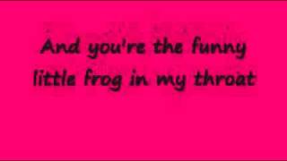 Funny Little Frog - Belle &amp; Sebastian (con letra)