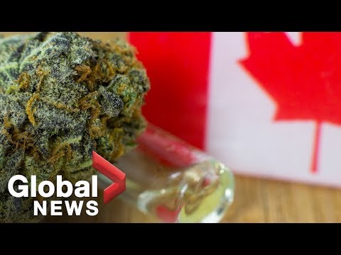 What tourists need to know about pot legalization in Canada