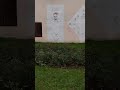 Из дома вышел человек #shorts