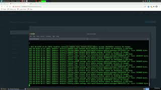 Section 2  Reconnaissance, Enumeration and Exploitation, Lecture 5  Vulnerability Scanning and Explo
