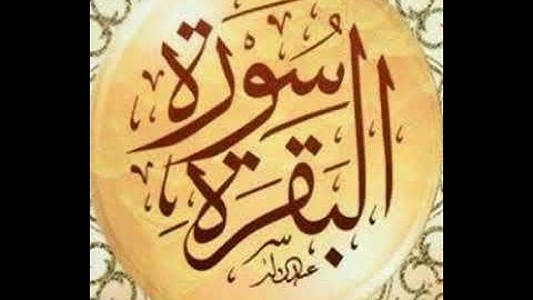 (وقال الذين اتبعوا لو أن لنا كرة).....القارئ محمد محمود الخواص