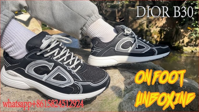 DIOR SHOES - Dior B22 Dhgate Sneakers Unboxing Review&On Feet (White,gray  and blue) 