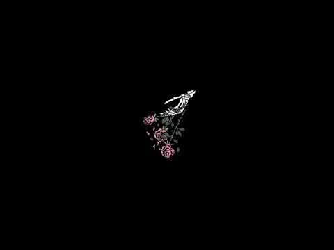 Brandy Kills - Hallow Ship