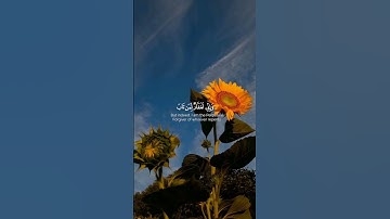 تلاوه من سورة طه|بصوت القارئ شريف مصطفى 🎧✨ #trending #قرآن #quran #قران_كريم #شريف_مصطفى