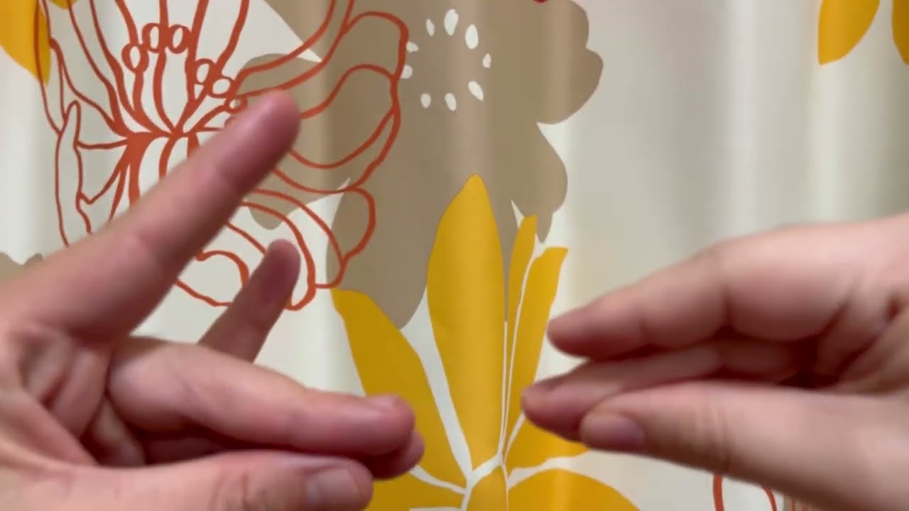 【駆け込み】ゆくキツネ くるキツネ