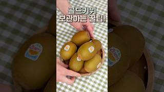 골드키위 오래 보관하는 꿀팁! #골드키위 #키위보관법 #과일보관 #신선보관 #과일스타그램 #생활꿀팁
