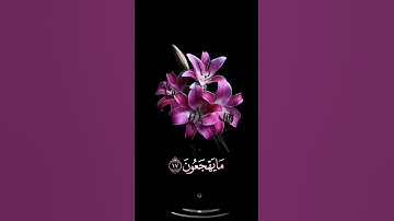 صباح الخير 🌺حالات واتساب مقاطع قصيره🌺قران كريم سورةالذاريات كانوا قليلا من الليل مايهجعون🌺بدون حقوق