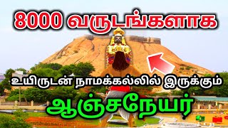 பல வருடங்களாக உயிருடன் இருப்பதாக நம்பப்படும் நாமக்கல் ஆஞ்சநேயர் ! வெளியான ஆச்சரிய தகவல் !