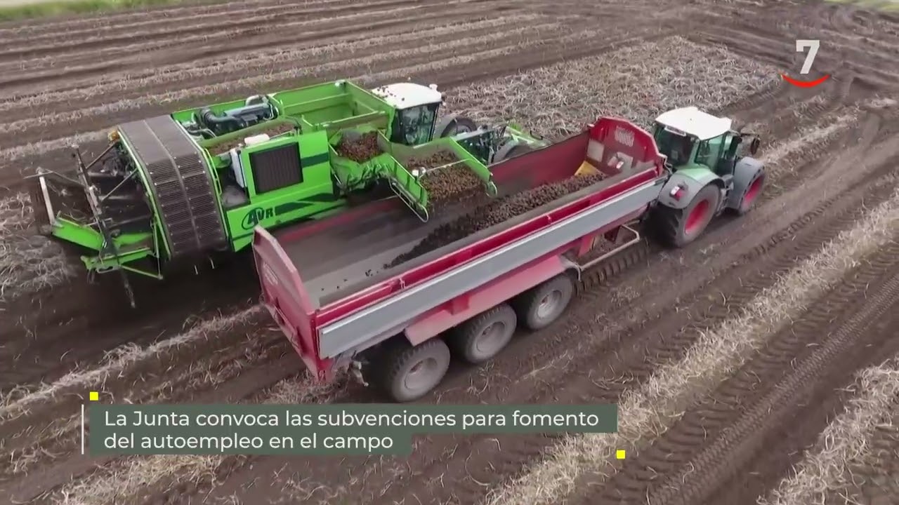 Flash El campo al día (13/07/2026): Subvenciones para fomentar el autoempleo en el campo