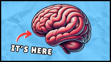 What is Executive Functioning? (Easy 4 Minute Explanation)