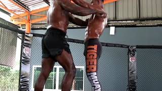 Clinching Ufc Ko Artist Vs Muay Thai Champion