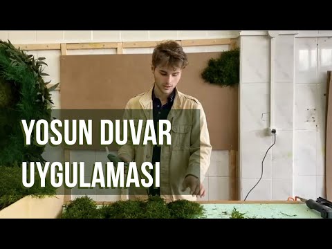 Video: İç mekandaki yapay yosun. Yapay yosun nasıl yapılır?