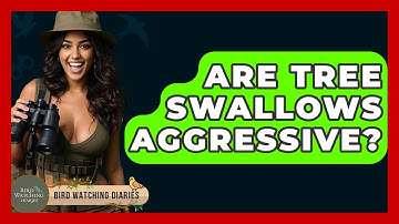 Are Tree Swallows Aggressive? - Bird Watching Diaries