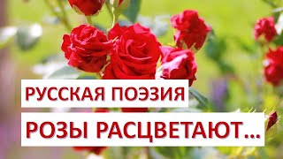 Розы расцветают... Стихи Василия Жуковского. Русская поэзия.
