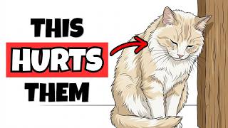 These 9 Everyday Things HURT Your Cat's Feelings