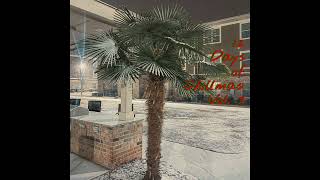 Jude Ivy - truth (12 Days of Chillmas)