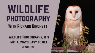 BIRD PHOTOGRAPHY | BARN OWL | Its not always easy to get results in Wildlife Photography