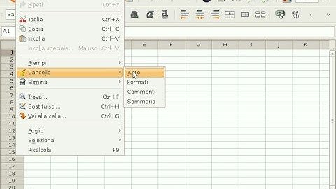 Ubuntu Netbook Remix  -  Ufficio : Gnumeric  (spreadsheet)
