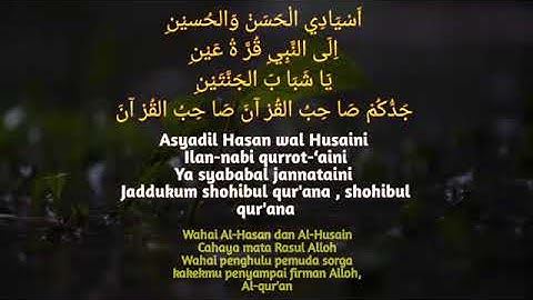 SHOLAWAT YA THOYBAH MERDU