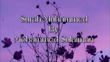 سورة محمد للشيخ محمد سليمان - Surah Muhammad By Mohammed Sulaiman