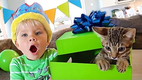 BIRTHDAY KITTEN SURPRISE! - Ollies 3rd Birthday Sp...