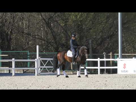 Norteño FS - 2ª jornada selección Campeonato Mundo Ermelo 19