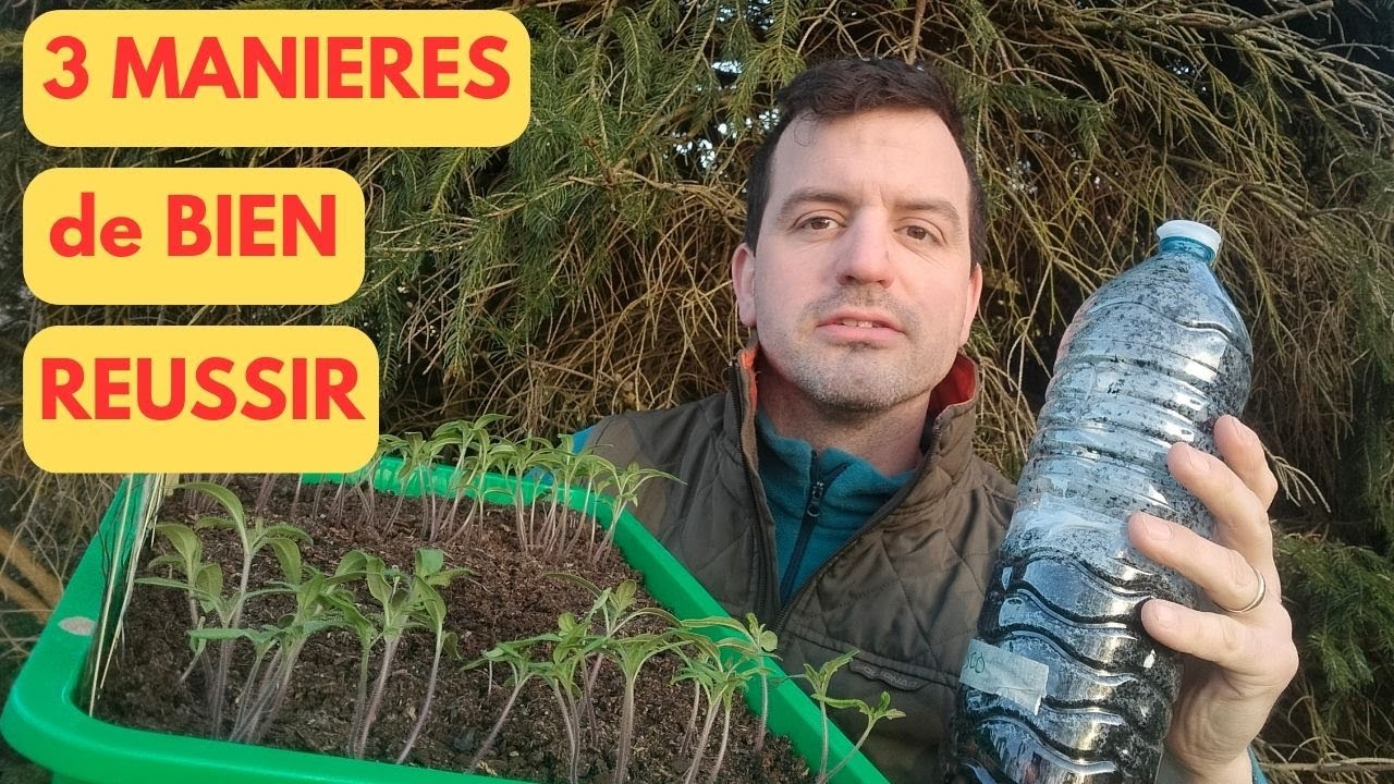 SEMIS de TOMATES: 3 manières pour BIEN REUSSIR