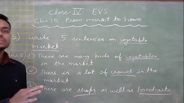Class IV EVS Ch-15 From Market to Home