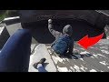 ТОП 3 ВИДЕО ПРО ПАРКУР В ШКОЛУ - POV Parkour