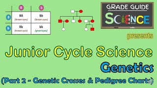 Genetics (Part 2) Genetic Crosses & Pedigree Charts - Junior Cycle Science - Revision Video
